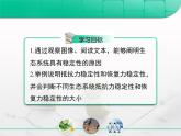 人教版 (新課標(biāo))高中生物必修3 5-5《生態(tài)系統(tǒng)的穩(wěn)定性》課件