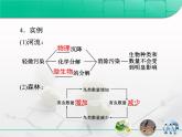 人教版 (新課標(biāo))高中生物必修3 5-5《生態(tài)系統(tǒng)的穩(wěn)定性》課件