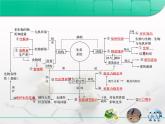 人教版 (新課標(biāo))高中生物必修3 第5章《生態(tài)系統(tǒng)及其穩(wěn)定性》總結(jié)復(fù)習(xí)課件