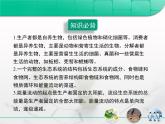 人教版 (新課標(biāo))高中生物必修3 第5章《生態(tài)系統(tǒng)及其穩(wěn)定性》總結(jié)復(fù)習(xí)課件