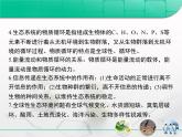 人教版 (新課標(biāo))高中生物必修3 第5章《生態(tài)系統(tǒng)及其穩(wěn)定性》總結(jié)復(fù)習(xí)課件