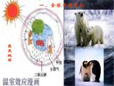 人教版 (新課標(biāo))高中生物必修3 6-2《保護我們共同的家園》課件