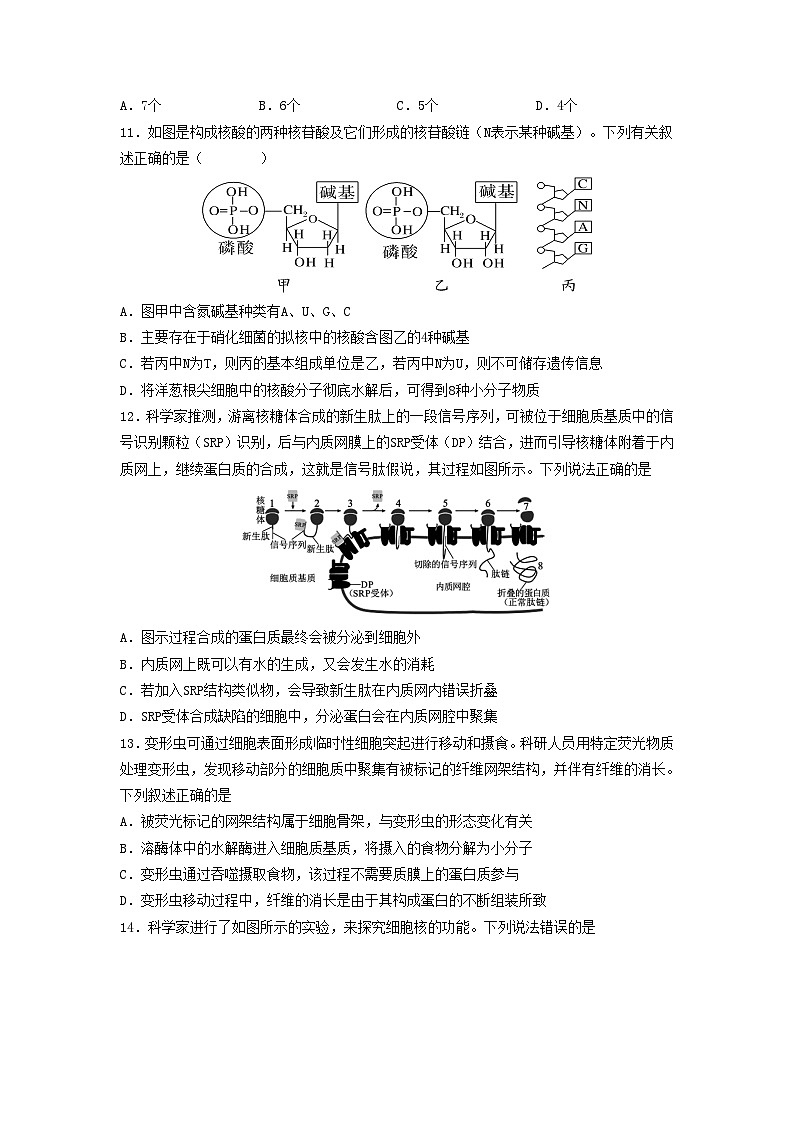 安徽省阜阳市2024_2025学年高一生物上学期期中试题第3页