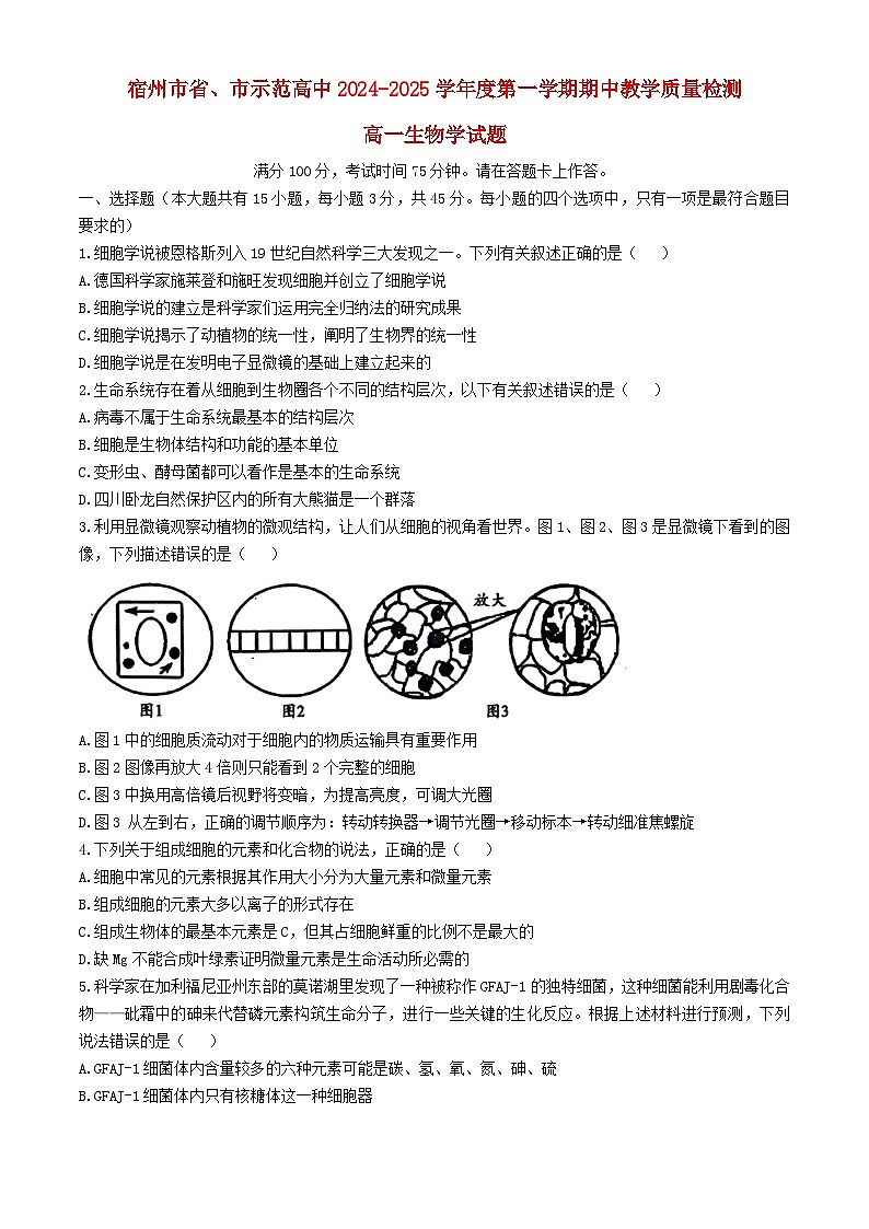 安徽省宿州市2024_2025学年高一生物上学期11月期中试题含解析第1页
