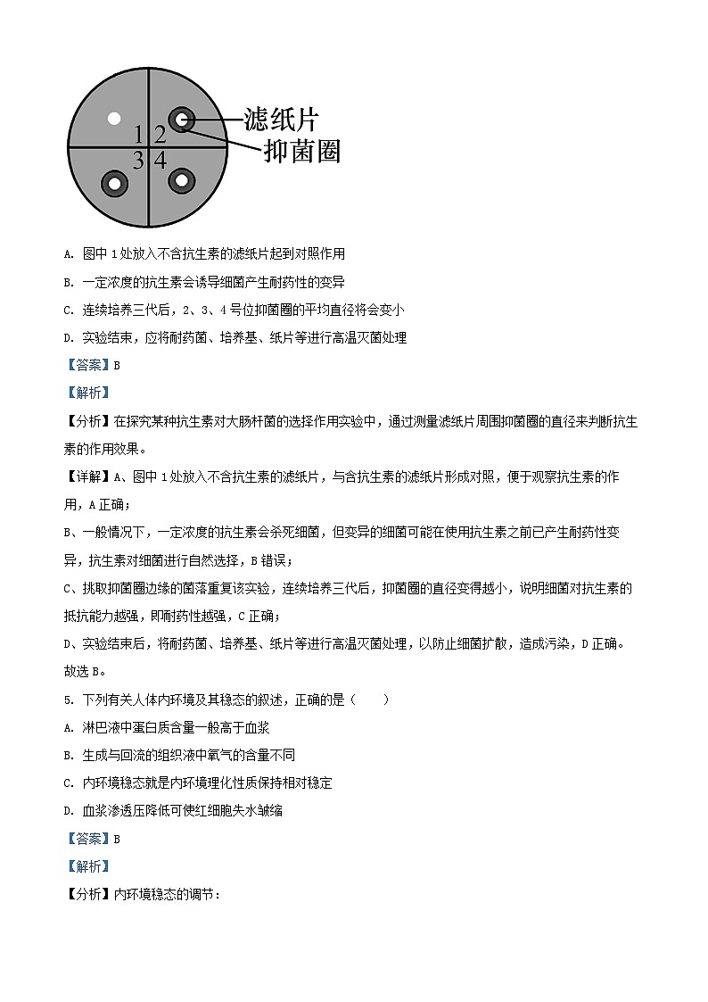 安徽省芜湖市2024_2025学年高二生物上学期期中试题含解析第3页