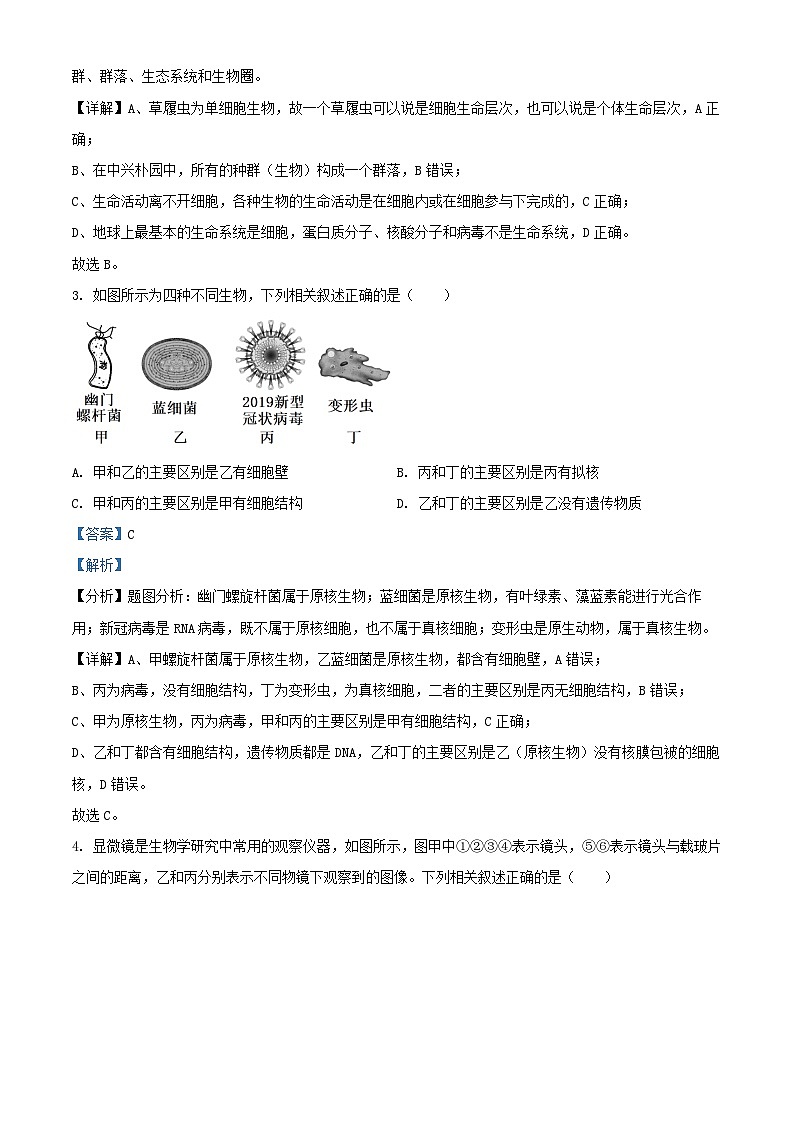 安徽省芜湖市2024_2025学年高一生物上学期中试题含解析第2页