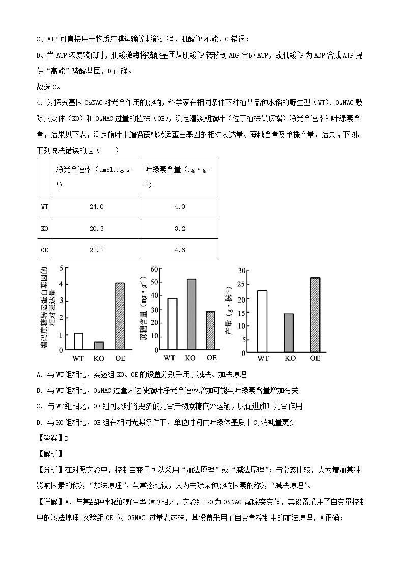 湖北省武汉市2024_2025学年高三生物上学期期中检测试卷含解析第3页