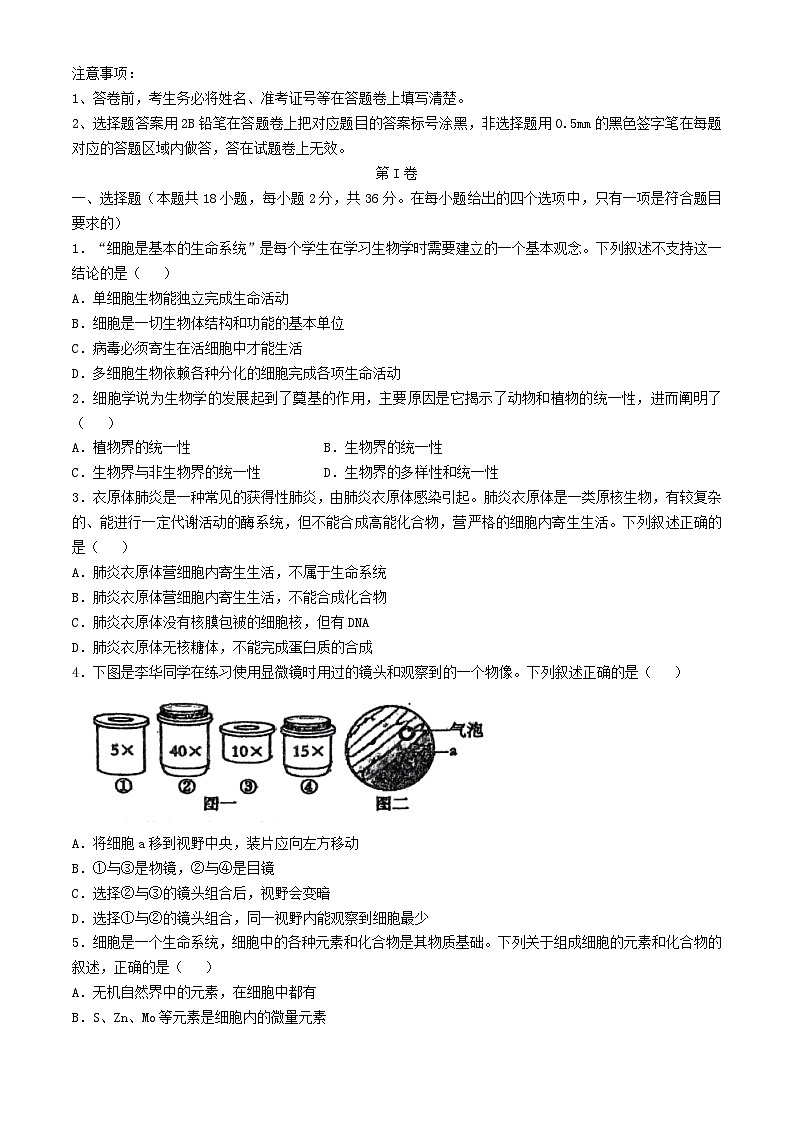 湖北省襄阳四校2024_2025学年高一生物上学期期中联考试题第1页