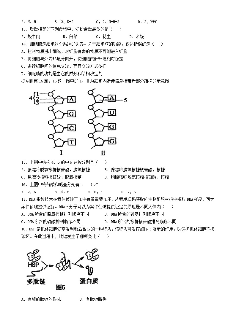 湖北省襄阳四校2024_2025学年高一生物上学期期中联考试题第3页