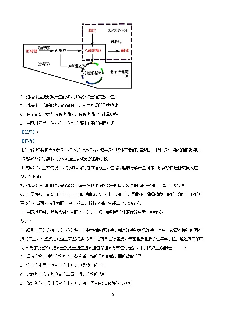 湖南省娄底市娄底市2024_2025学年高三生物上学期11月月考试题含解析第2页