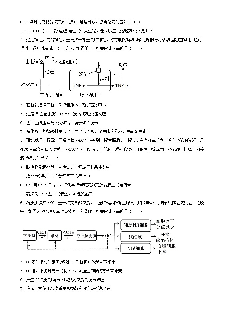江苏省南通市海安市2024_2025学年高二生物上学期11月期中检测含解析第2页