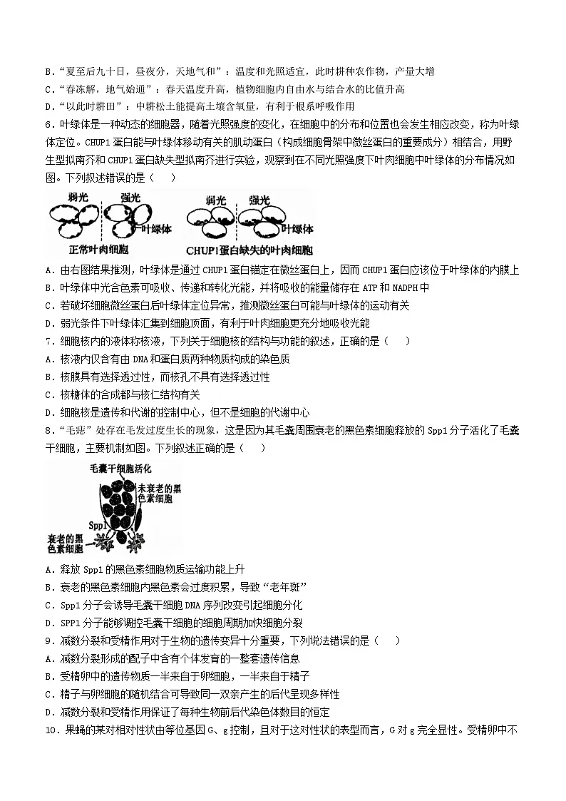 辽宁省2024_2025学年高三生物上学期11月期中联考试题第2页