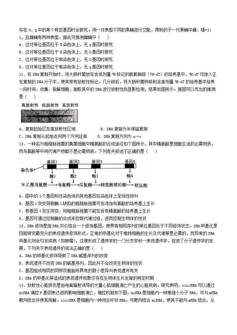 辽宁省2024_2025学年高三生物上学期11月期中联考试题第3页