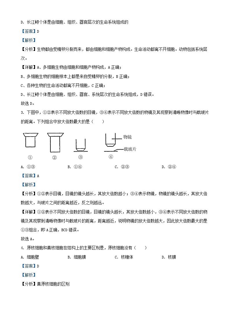 四川省2024_2025学年高一生物上学期10月月考试题含解析第2页