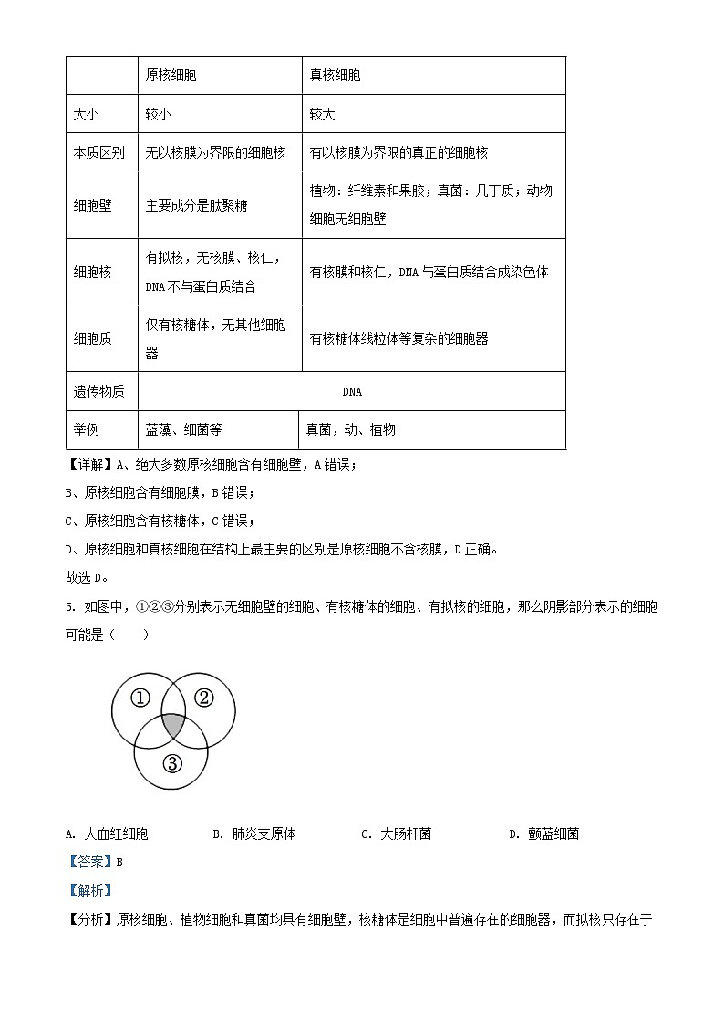 四川省2024_2025学年高一生物上学期10月月考试题含解析第3页