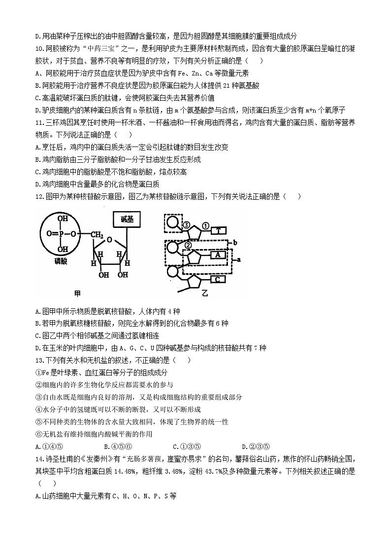 湖北省十堰市2024_2025学年高一生物上学期11月联考试题第3页