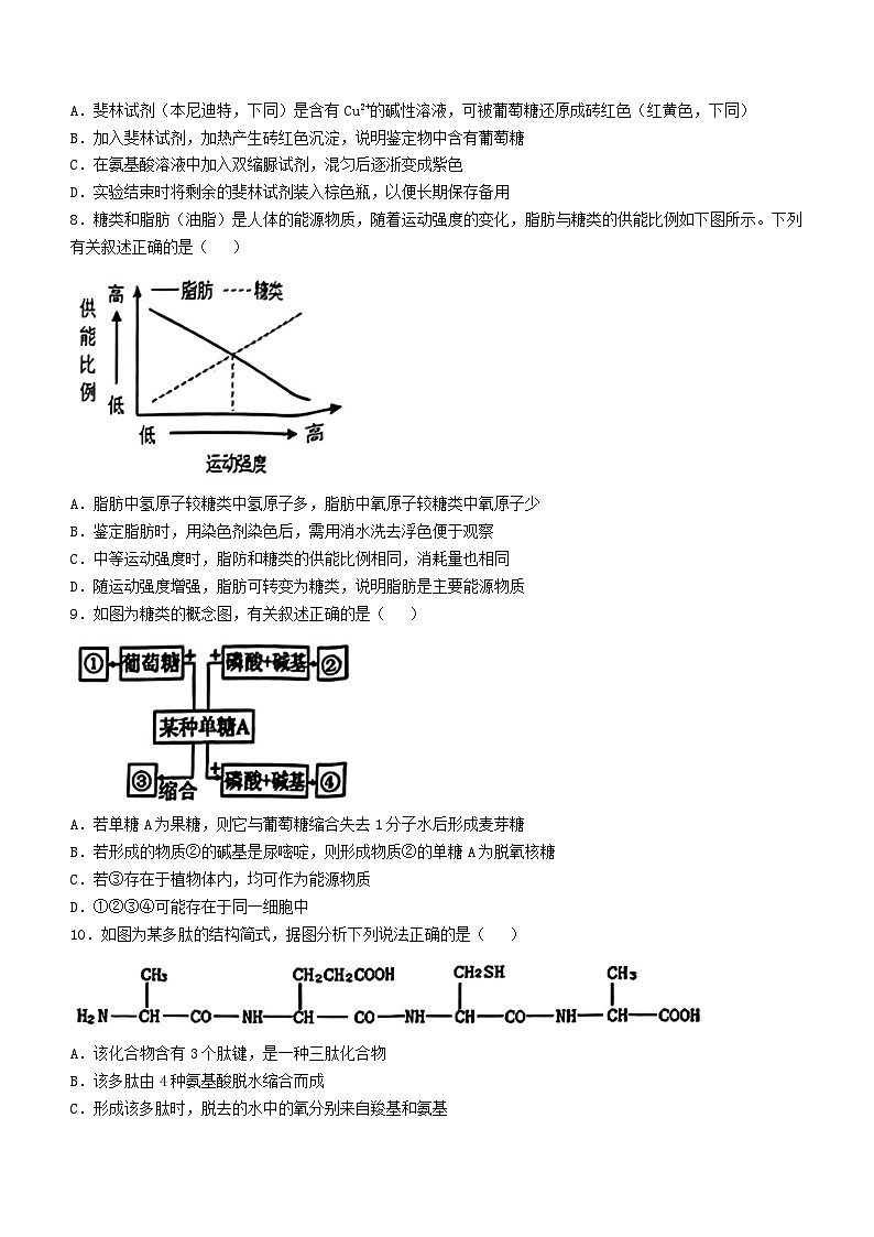 浙江省2024_2025学年高一生物上学期期中试卷第2页