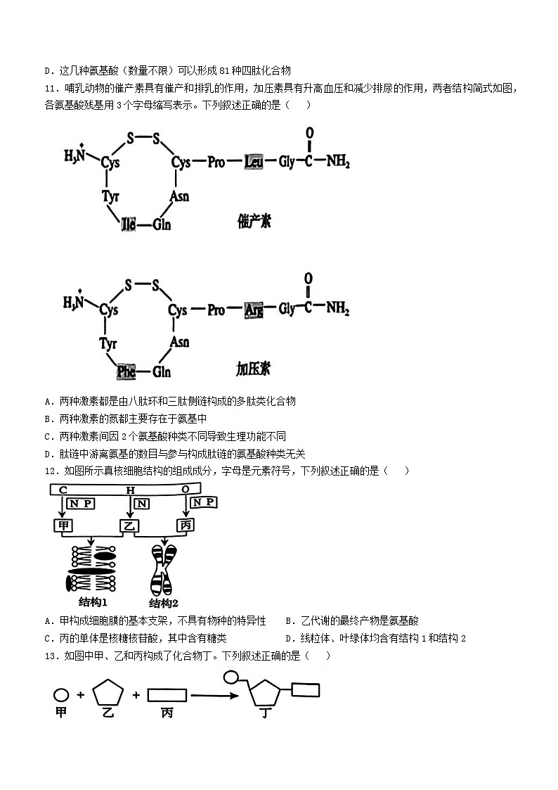 浙江省2024_2025学年高一生物上学期期中试卷第3页