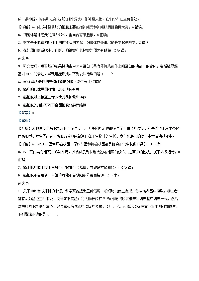 重庆市2024_2025学年高二生物上学期10月月考试题含解析 (2)第2页
