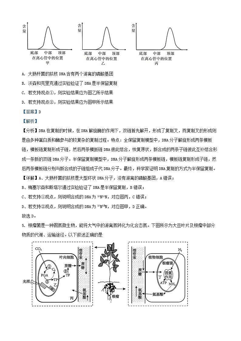 重庆市2024_2025学年高二生物上学期10月月考试题含解析 (2)第3页