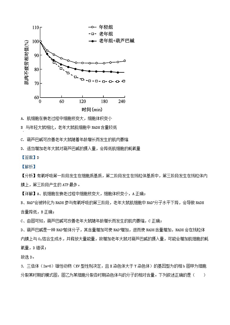 重庆市2024_2025学年高二生物上学期第一次月考试题含解析第2页