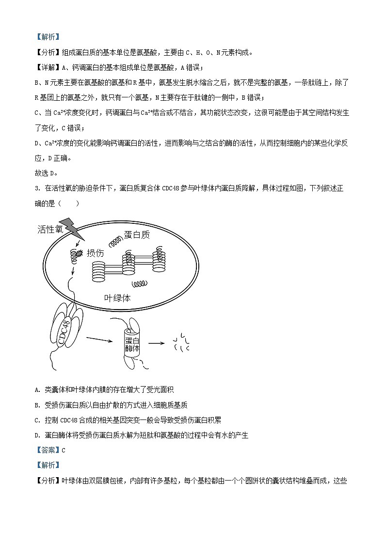 重庆市2024_2025学年高三生物上学期10月月考试题含解析第2页