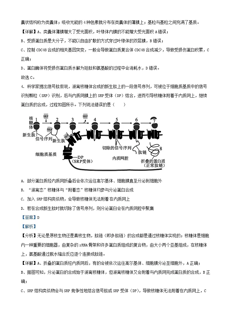 重庆市2024_2025学年高三生物上学期10月月考试题含解析第3页