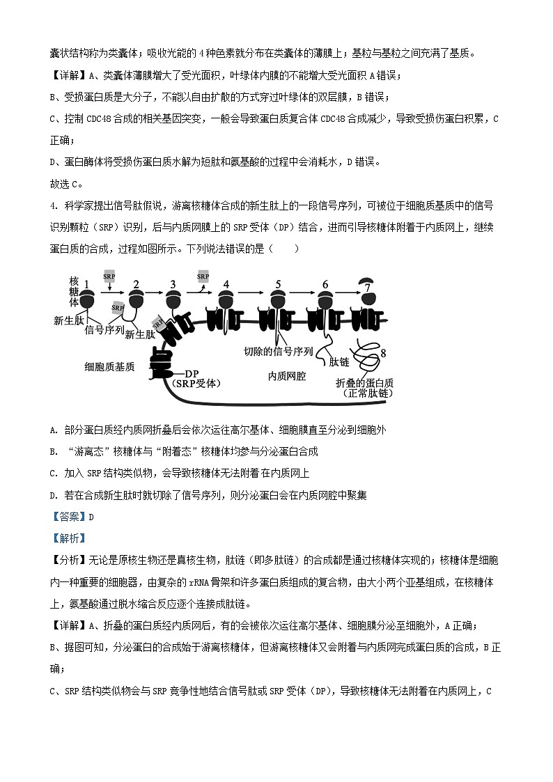 重庆市2024_2025学年高三生物上学期10月月考试题含解析第3页