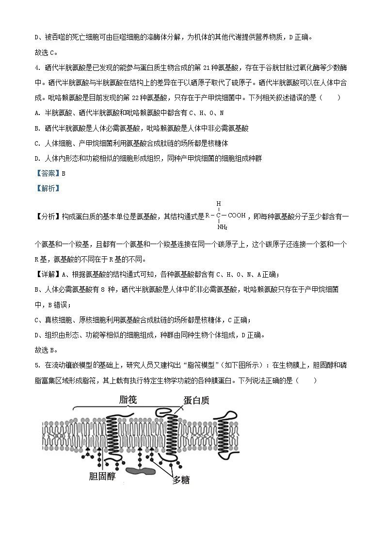 重庆市2024_2025学年高三生物上学期第一次月考试题含解析第3页