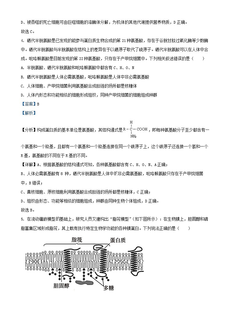重庆市2024_2025学年高三生物上学期第一次月考试题含解析第3页