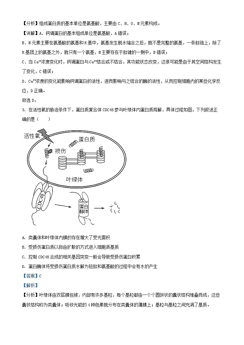 重庆市2024_2025学年高三生物上学期适应性月考卷二试题含解析第2页