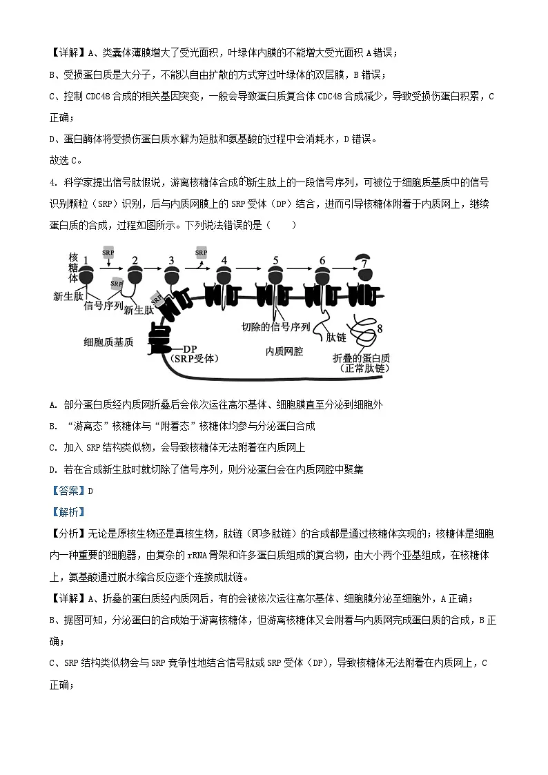 重庆市2024_2025学年高三生物上学期适应性月考卷二试题含解析第3页