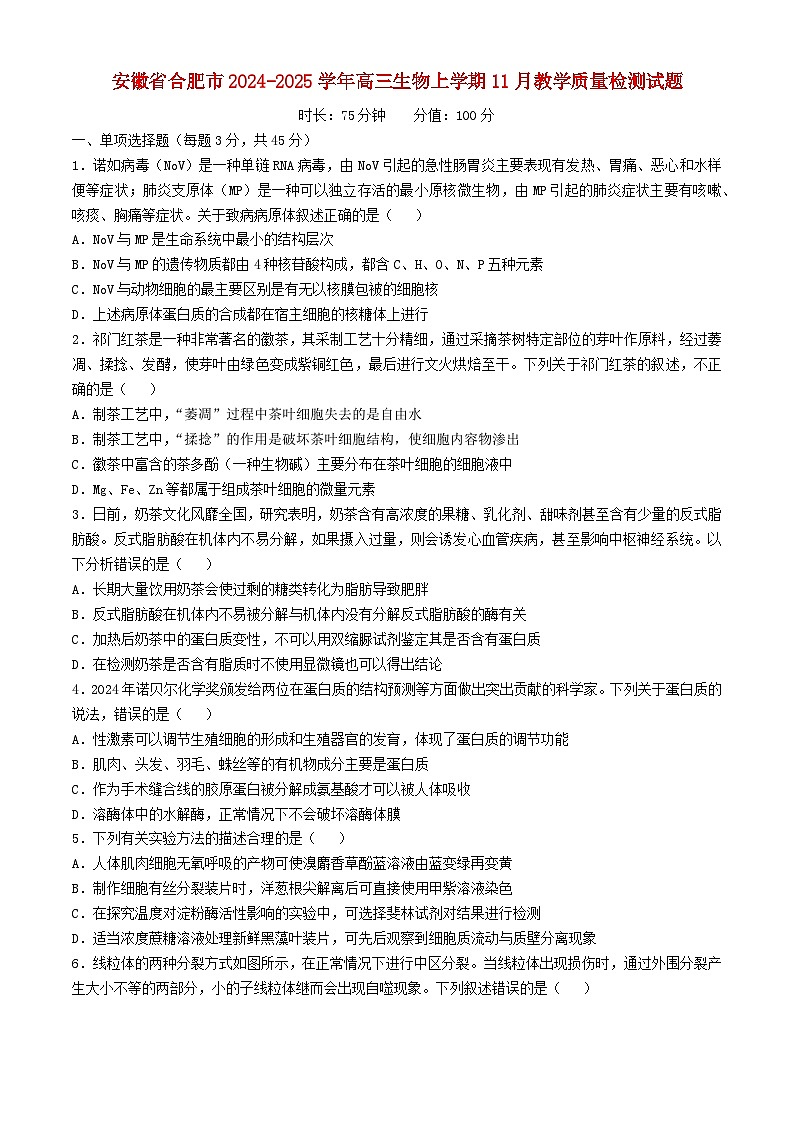 安徽省合肥市2024_2025学年高三生物上学期11月教学质量检测试题第1页