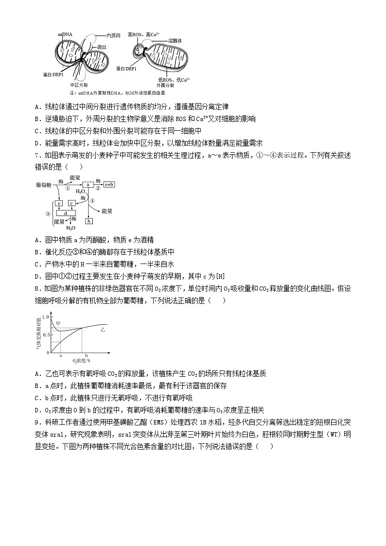 安徽省合肥市2024_2025学年高三生物上学期11月教学质量检测试题第2页