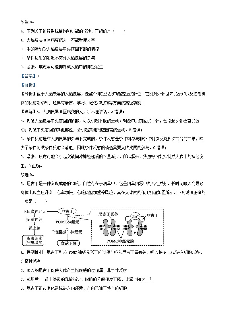 河北省沧州市泊头市2024_2025学年高二生物上学期10月月考试题含解析第3页