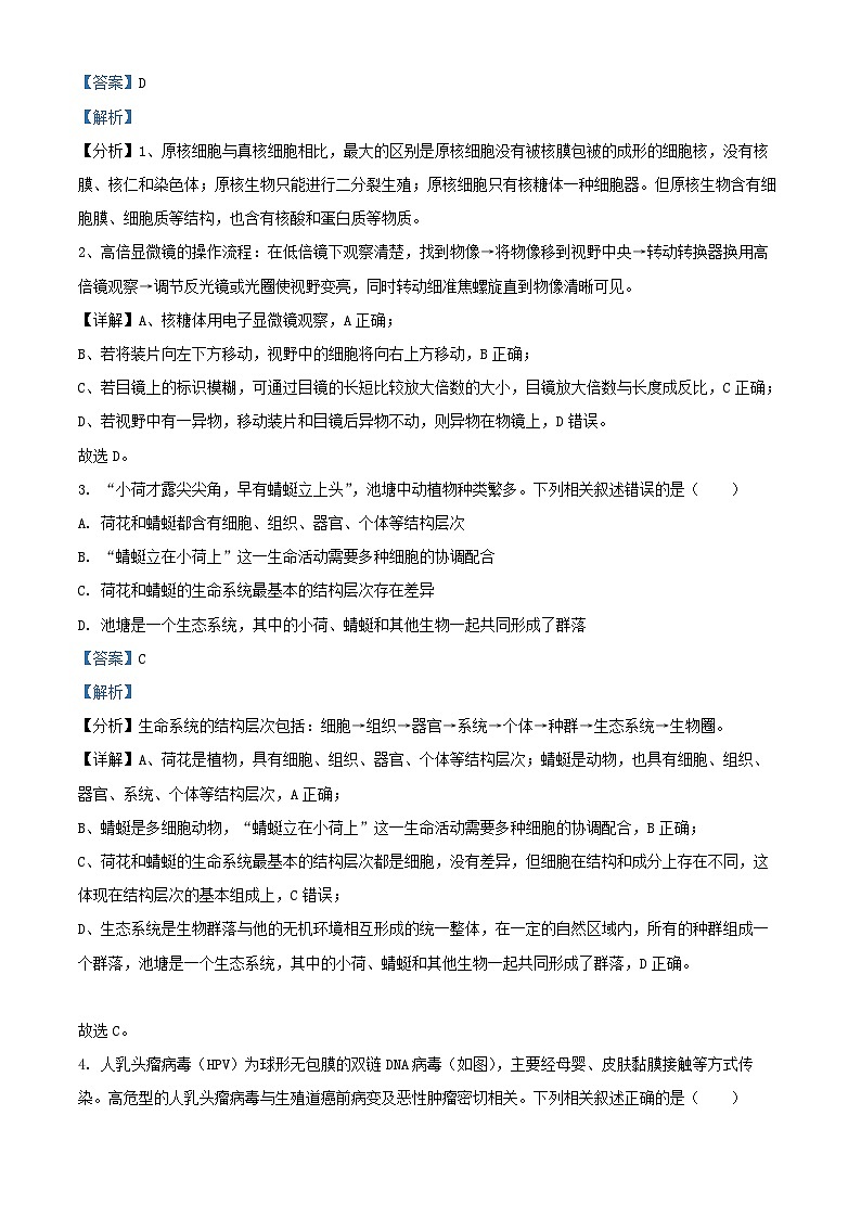 河北省沧州市四县联考2024_2025学年高一生物上学期10月月考试题含解析第2页