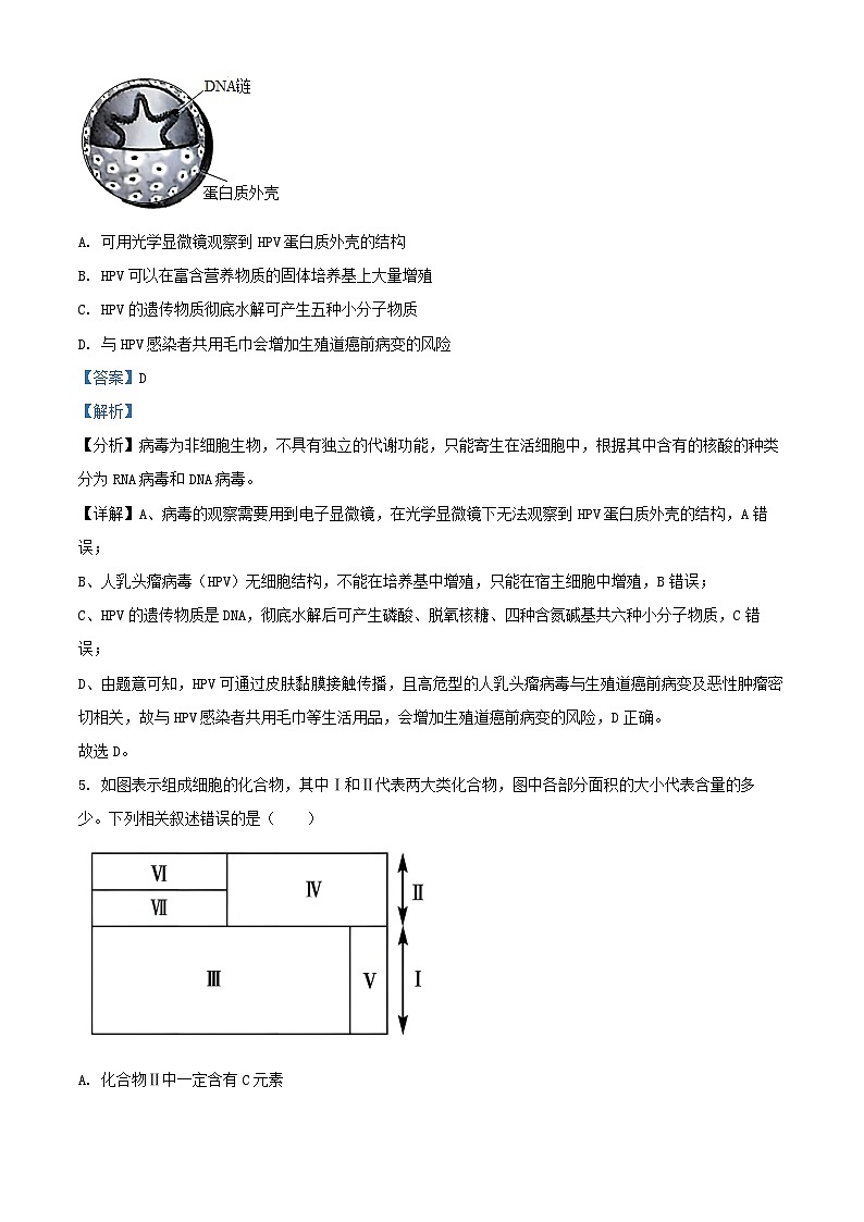 河北省沧州市四县联考2024_2025学年高一生物上学期10月月考试题含解析第3页