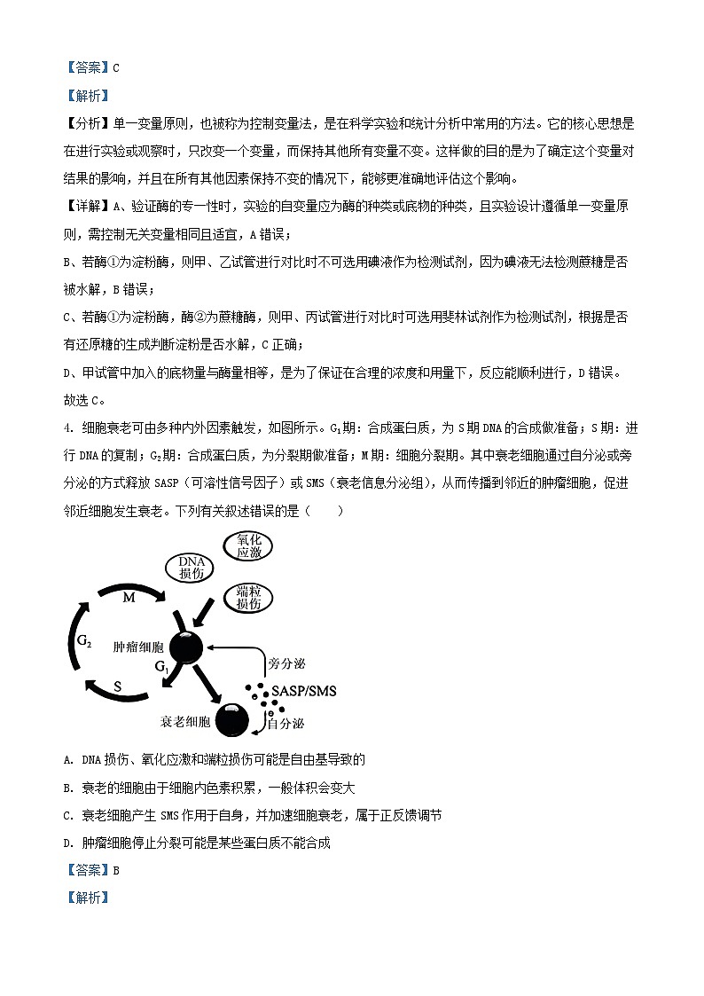 河北省邯郸市部分校2024_2025学年高三生物上学期月考试卷一含解析第3页