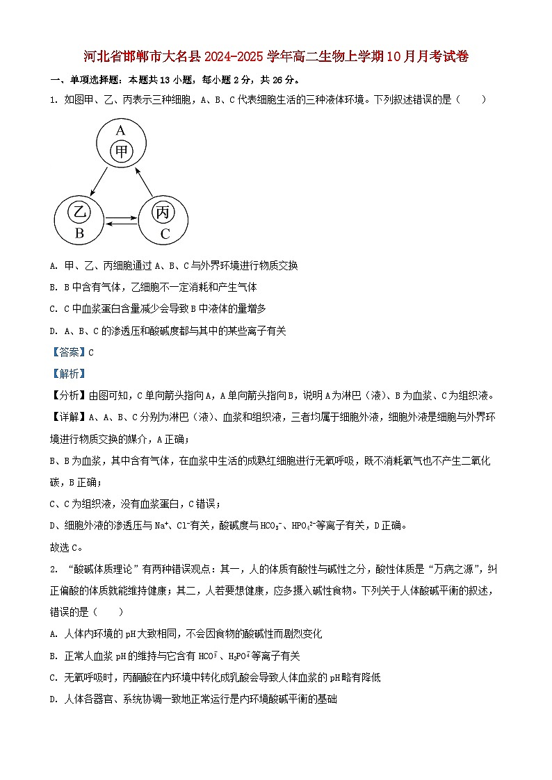 河北省邯郸市大名县2024_2025学年高二生物上学期10月月考试卷含解析第1页