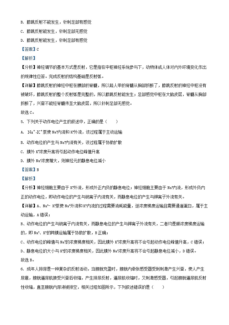 河北省邯郸市大名县2024_2025学年高二生物上学期10月月考试卷含解析第3页