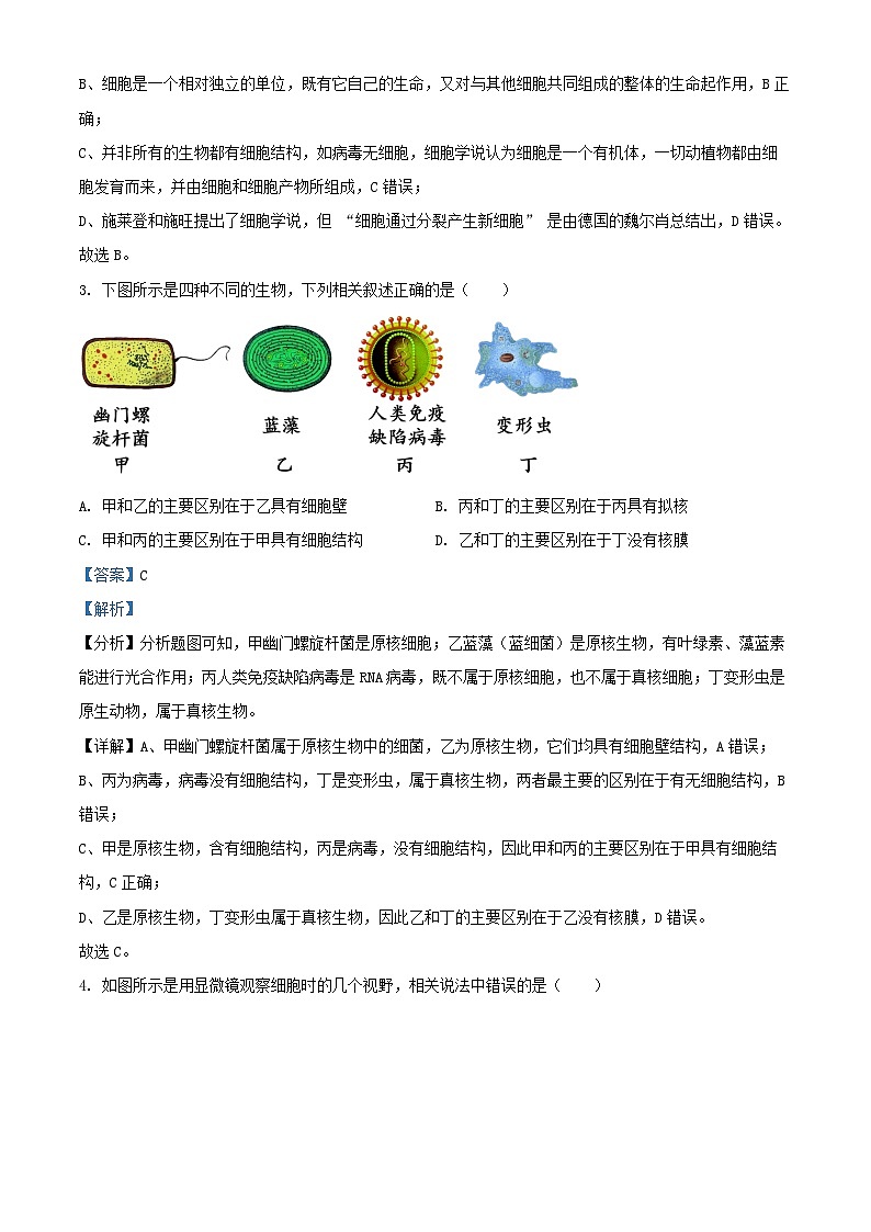 河北省邯郸市武安市2024_2025学年高一生物上学期10月期中测试试题含解析第2页