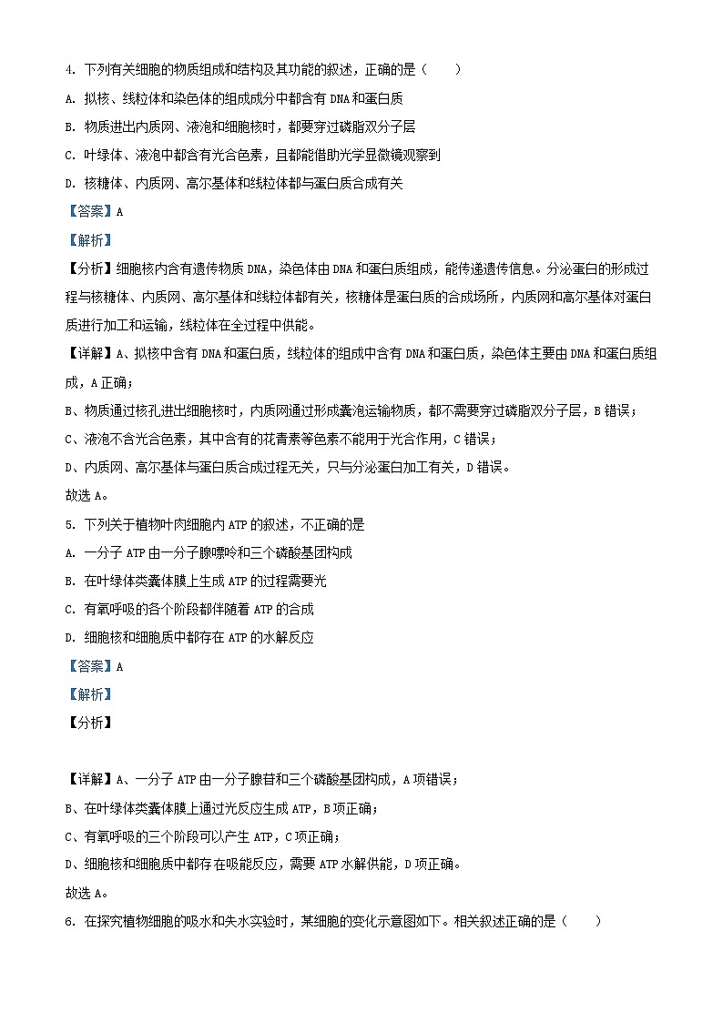 河北省衡水市2024_2025学年高三生物上学期期中测试试题含解析第3页
