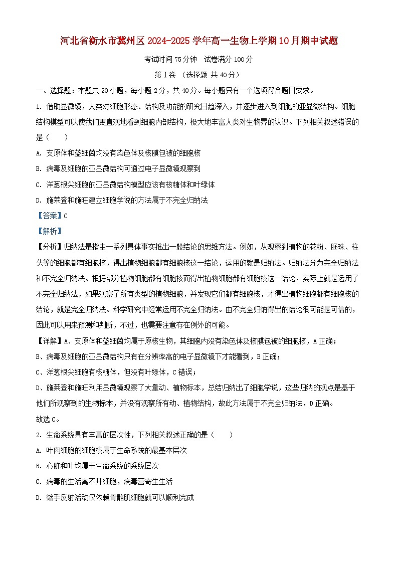 河北省衡水市冀州区2024_2025学年高一生物上学期10月期中试题含解析第1页
