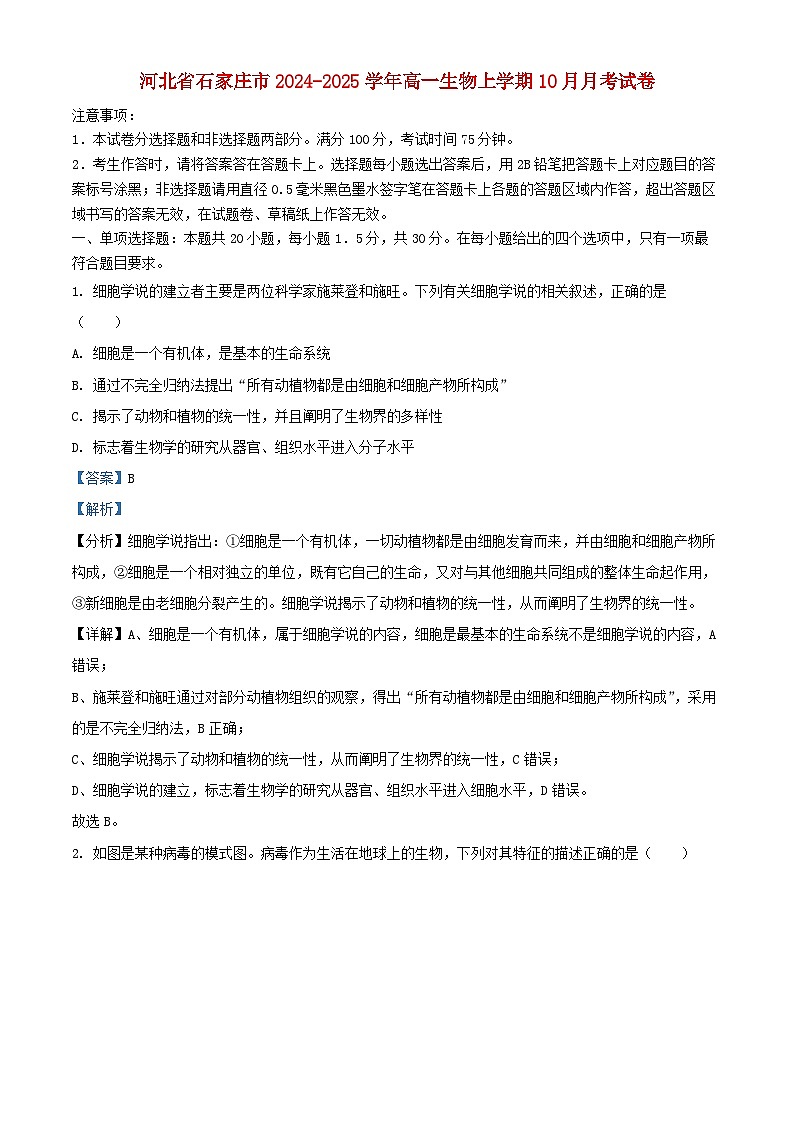 河北省石家庄市2024_2025学年高一生物上学期10月月考试卷含解析第1页