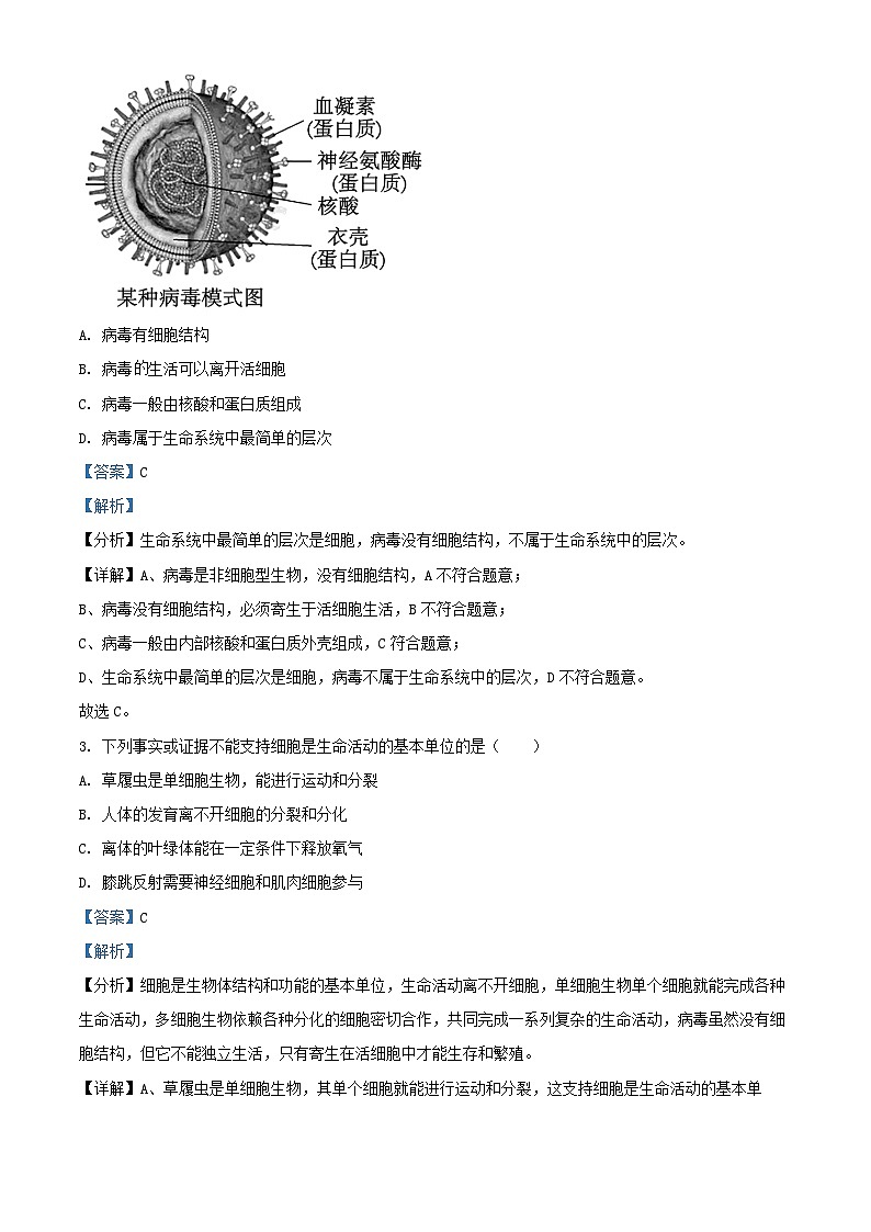 河北省石家庄市2024_2025学年高一生物上学期10月月考试卷含解析第2页