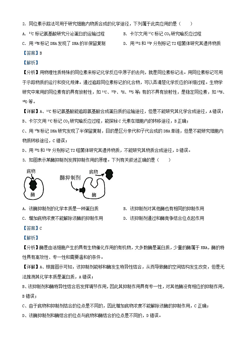河南省安阳市林州市2024_2025学年高三生物上学期10月月考试题含解析第2页