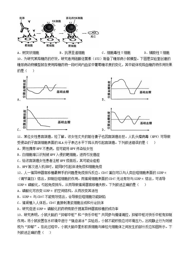 河南省南阳市六校2024_2025学年高二生物上学期10月期中测试含解析第3页