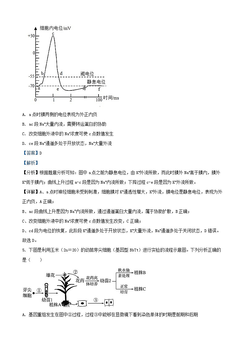 湖南省临湘市2024_2025学年高二生物上学期10月月考试题含解析第3页