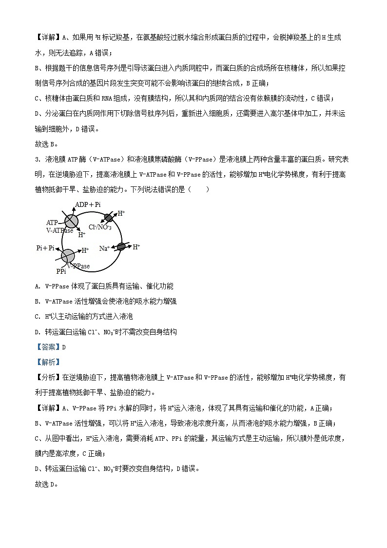 山东省济宁市2025届高三生物上学期10月月考试题含解析第2页