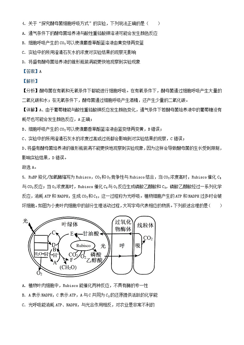 山东省济宁市2025届高三生物上学期10月月考试题含解析第3页